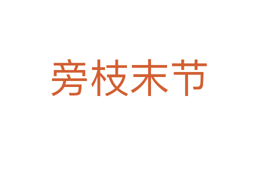 旁枝末節