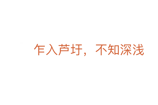 乍入蘆圩,不知深淺
