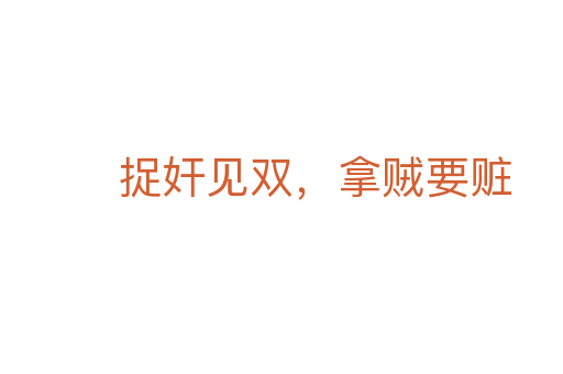 捉奸見雙，拿賊要贓