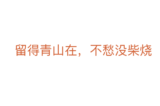 留得青山在,不愁沒柴燒