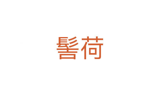 髻荷
