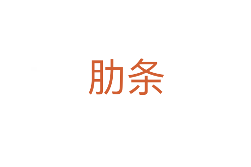 肋條