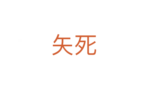 矢   