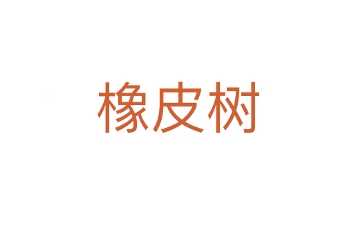 橡皮樹(shù)