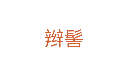 辮髻
