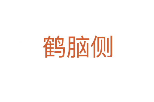 鶴腦側(cè)