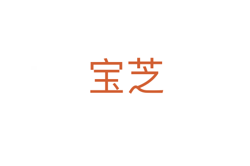 寶芝