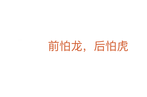 前怕龍，后怕虎