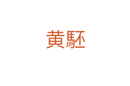 黃駓