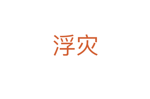 浮災(zāi)