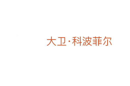 大衛·科波菲爾