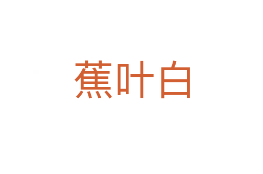蕉葉白