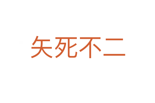 矢   不二