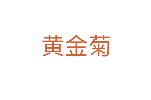 黃金菊