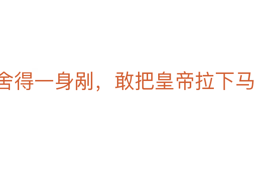 舍得一身剮，敢把皇帝拉下馬