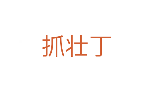 抓壯丁