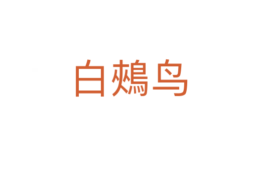 白鵊鳥