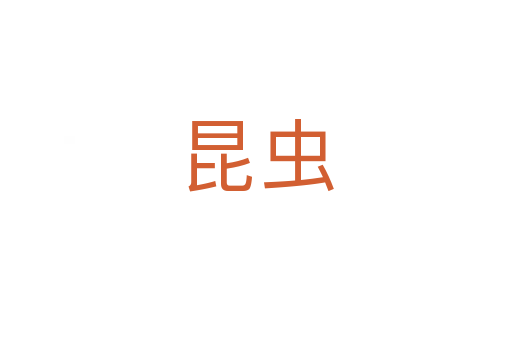 昆蟲(chóng)