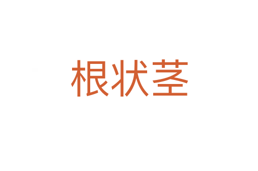 根狀莖