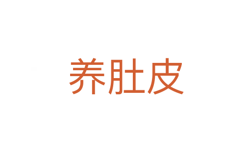 養(yǎng)肚皮