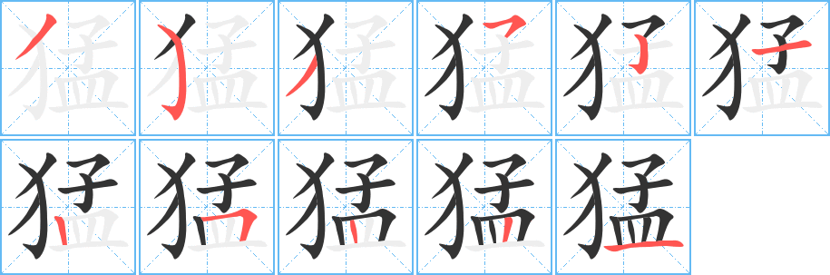 猛的筆順?lè)植窖菔?>
					
                    <hr />
                    <h2>猛的基本信息</h2>
                    <div   id=