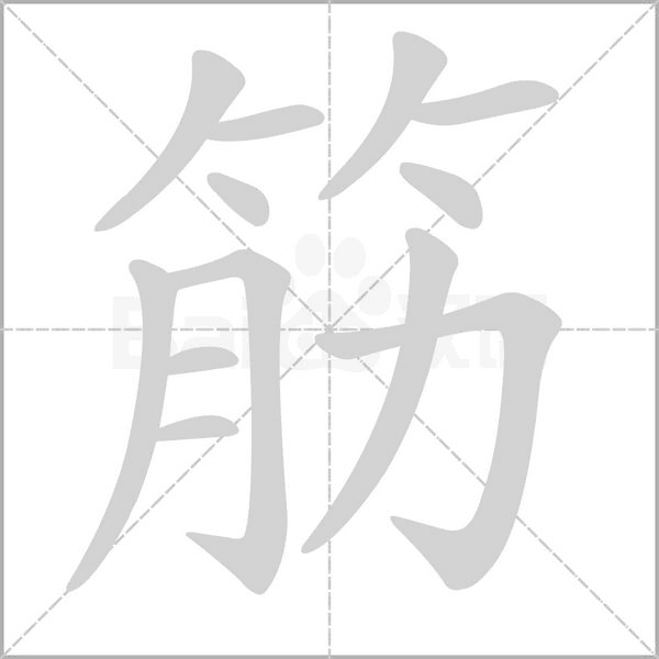 筋的筆順動(dòng)畫演示