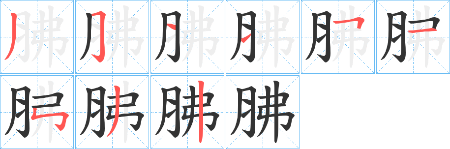 胇的筆順分步演示