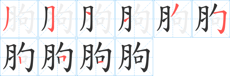 胊的筆順?lè)植窖菔?>
					
                    <hr />
                    <h2>胊的基本信息</h2>
                    <div   id=
