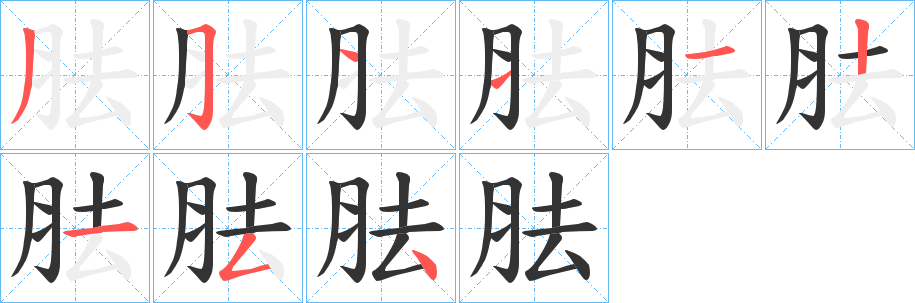 胠的筆順?lè)植窖菔?>
					
                    <hr />
                    <h2>胠的基本信息</h2>
                    <div   id=