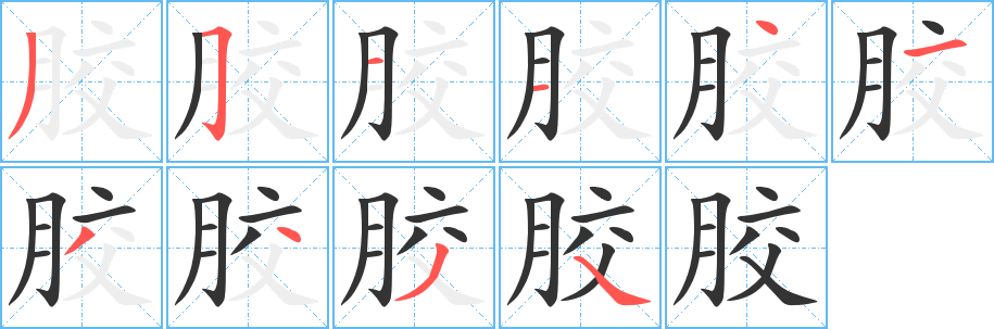 膠的筆順分步演示