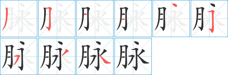 脈的筆順分步演示