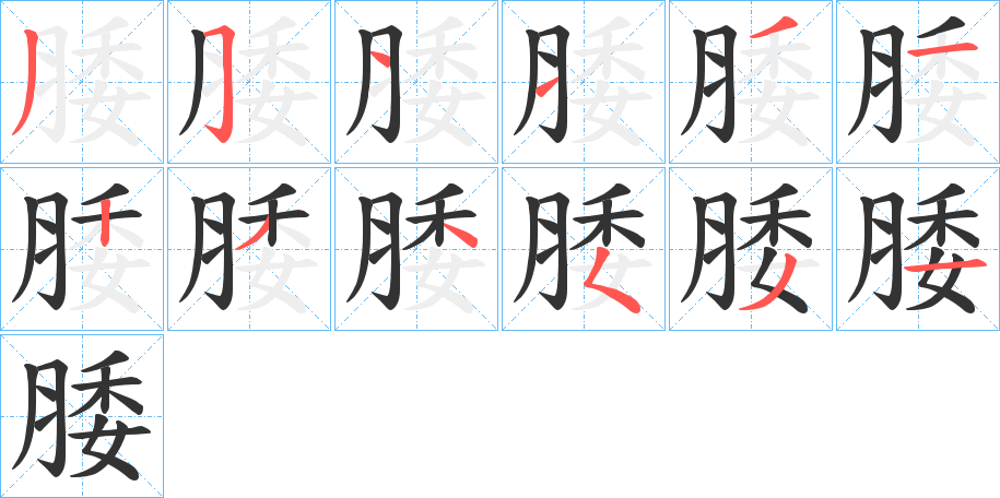 腇的筆順?lè)植窖菔?>
					
                    <hr />
                    <h2>腇的基本信息</h2>
                    <div   id=