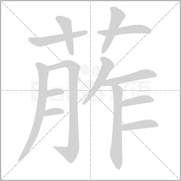 葄的筆順動畫演示