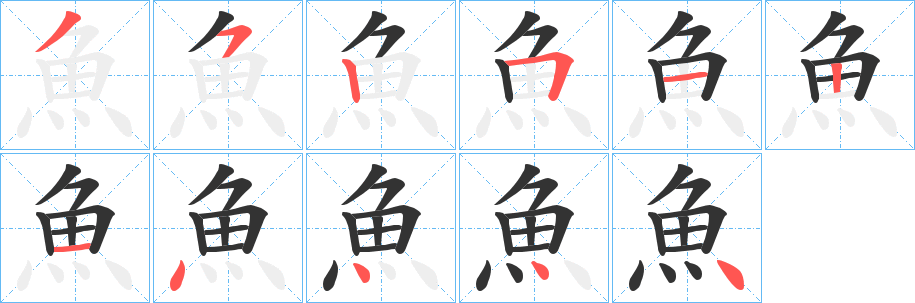 魚的筆順?lè)植窖菔?>
					
                    <hr />
                    <h2>魚的基本信息</h2>
                    <div   id=
